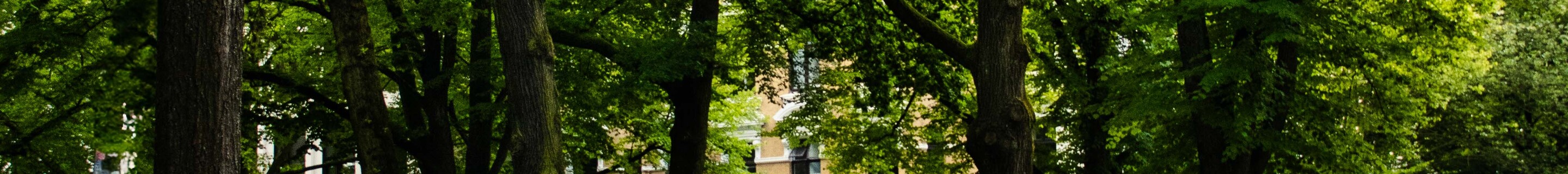 Mercedes-Benz 300SL Roadster