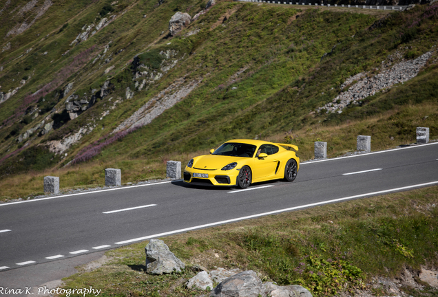 Porsche 718 Cayman GT4
