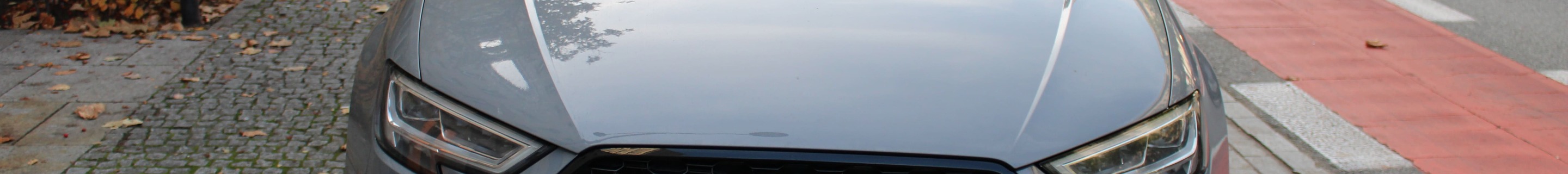 Audi RS3 Sportback 8V 2018