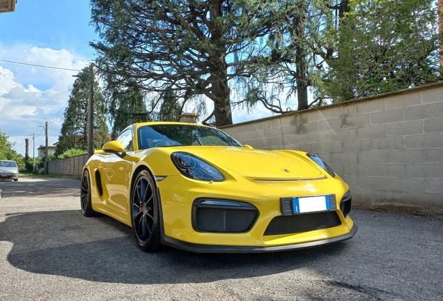 Porsche 981 Cayman GT4