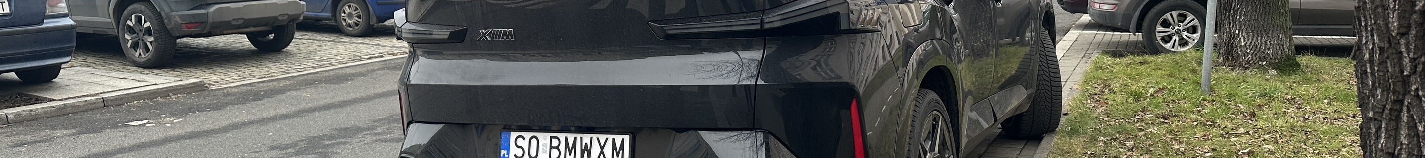 BMW XM G09