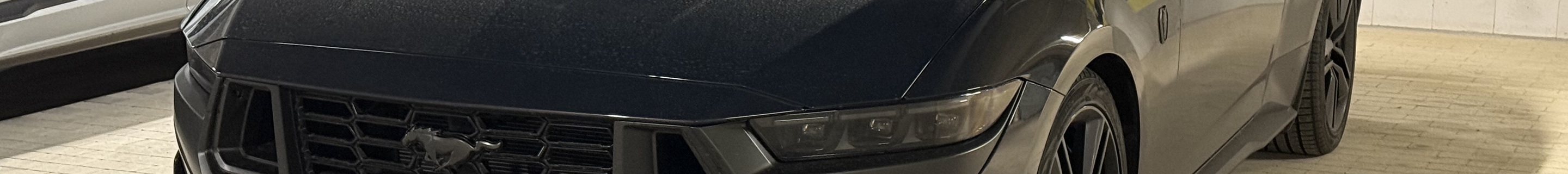 Ford Mustang Dark Horse 2024