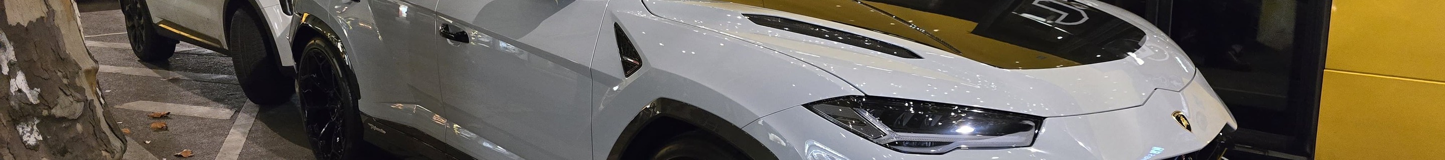 Lamborghini Urus Performante