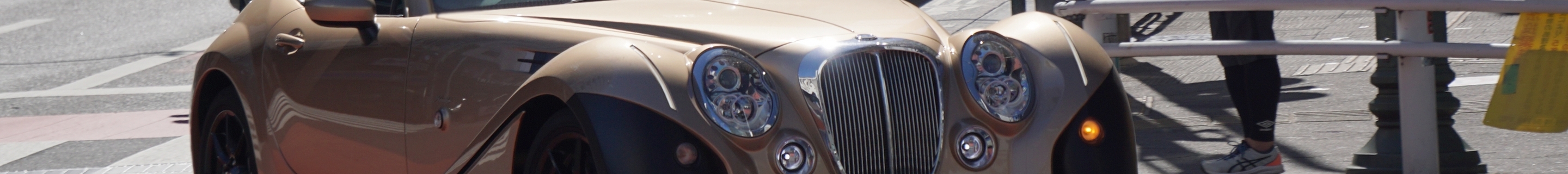 Mitsuoka Himiko 2018