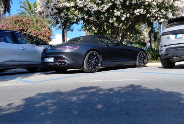 Mercedes-AMG GT Roadster R190 2019