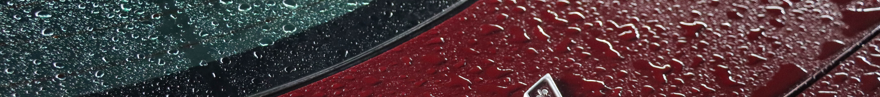 Chevrolet Corvette C5 50th Anniversary