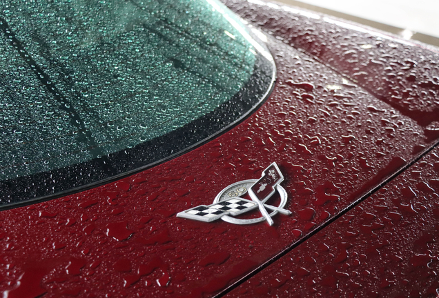 Chevrolet Corvette C5 50th Anniversary