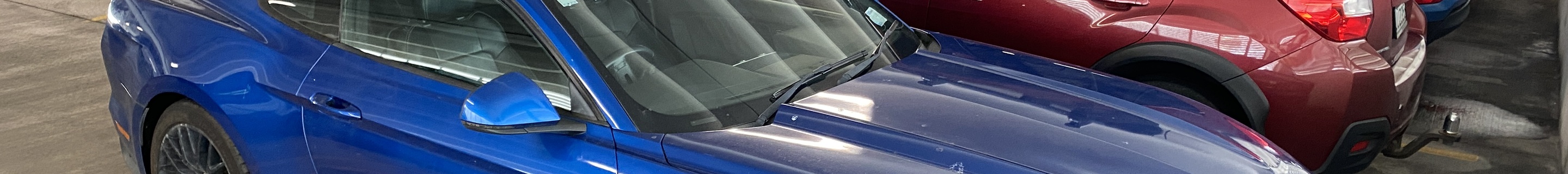 Ford Mustang GT 2015