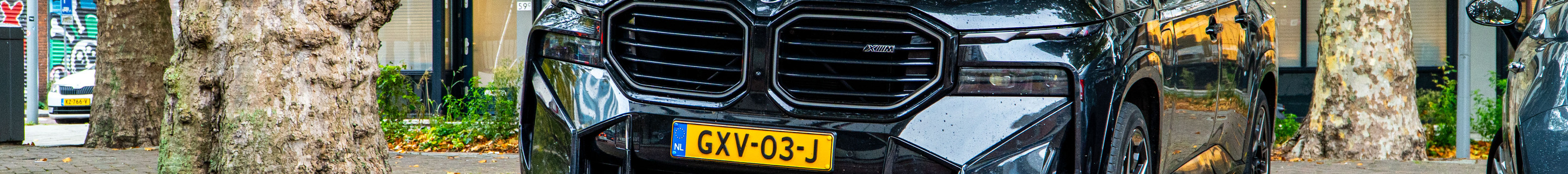 BMW XM G09
