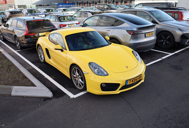 Porsche 981 Cayman S
