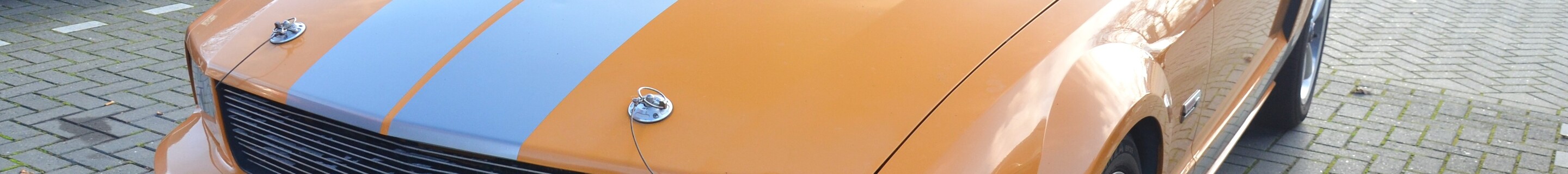 Ford Mustang Shelby GT