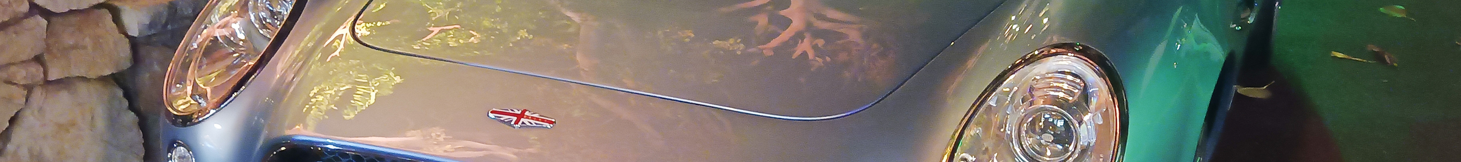 David Brown Speedback GT