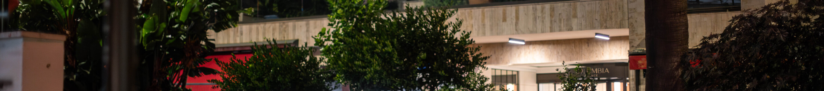 Ferrari Enzo Ferrari