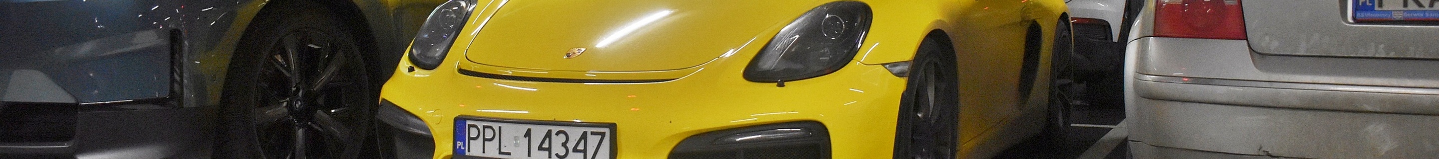 Porsche 981 Cayman GT4