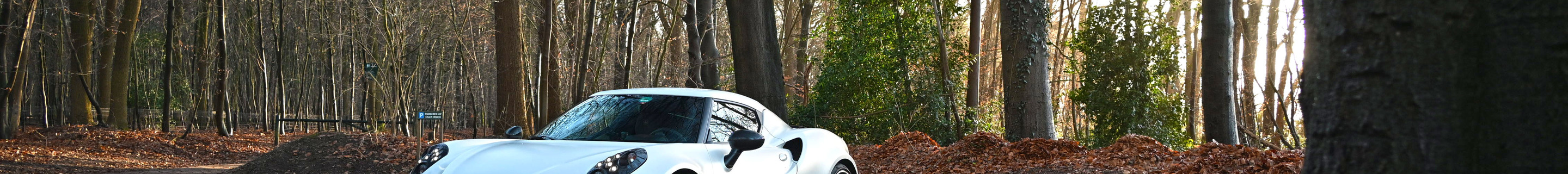 Alfa Romeo 4C Launch Edition