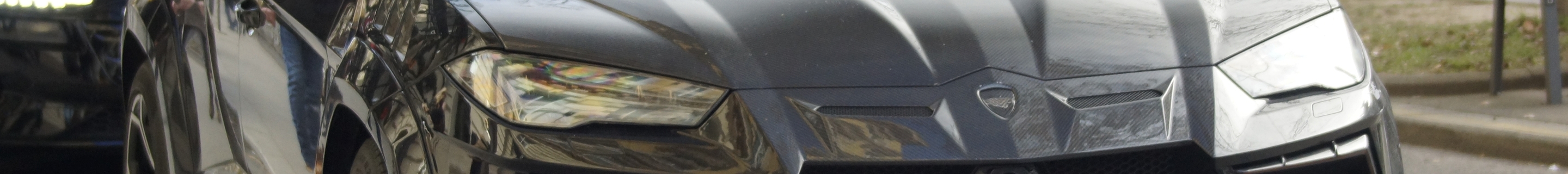 Lamborghini Urus Mansory Venatus