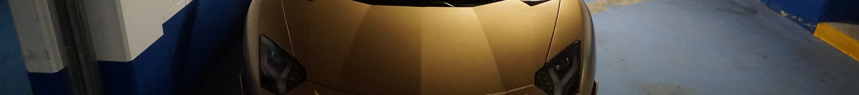 Lamborghini Aventador LP770-4 SVJ Roadster