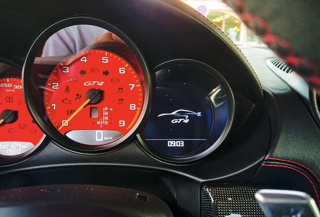 Porsche 718 Cayman GT4