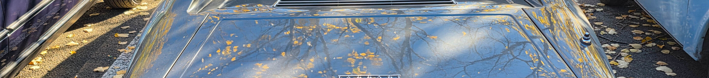 Ferrari Dino 208 GT4