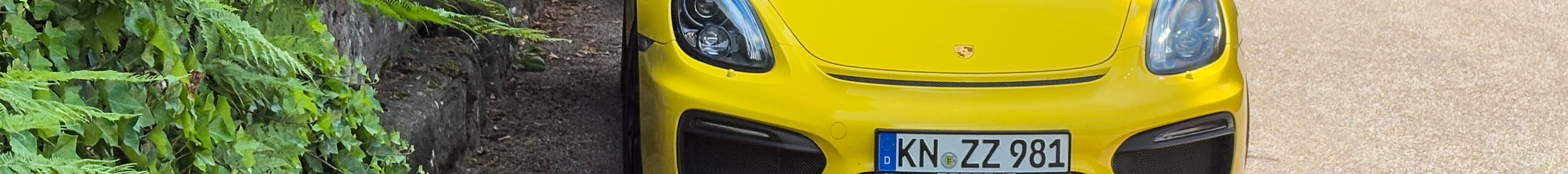 Porsche 981 Boxster Spyder