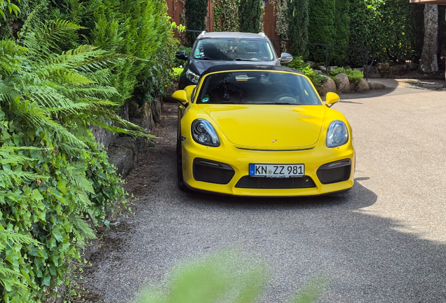 Porsche 981 Boxster Spyder