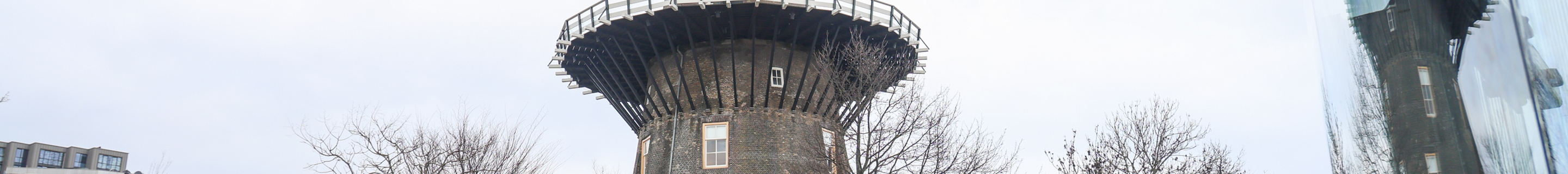 Audi RS5 Sportback B9 2021