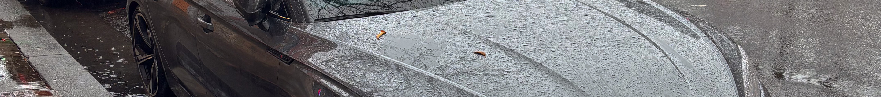 Audi RS5 Sportback B9 2021