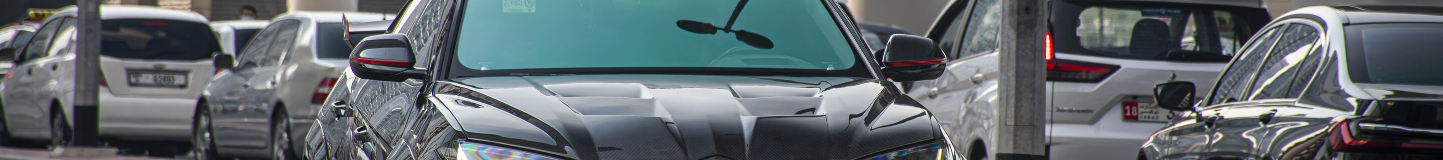 Lamborghini Urus Mansory Venatus