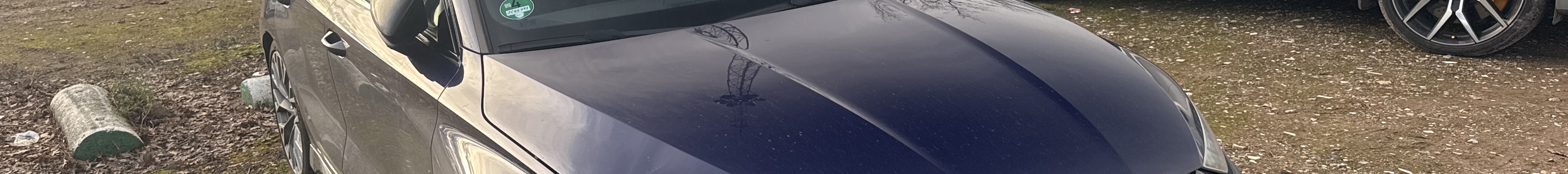 Audi RS3 Sportback 8Y