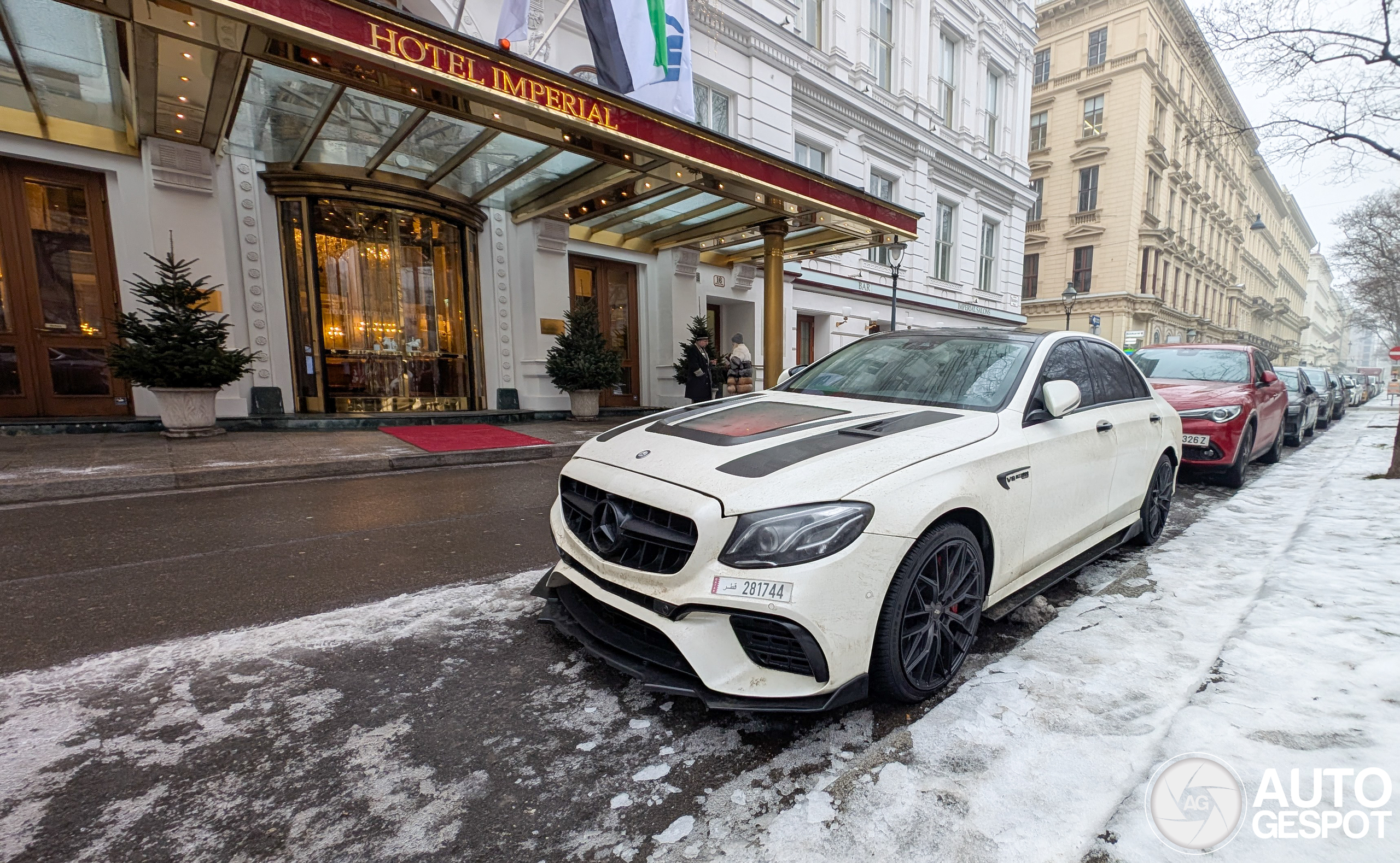 Witte Arabier trotseert de witte sneeuw