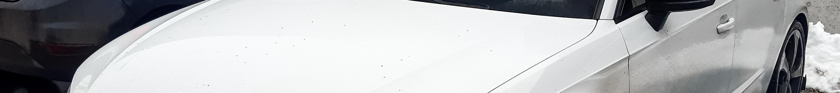 Audi RS3 Sportback 8V