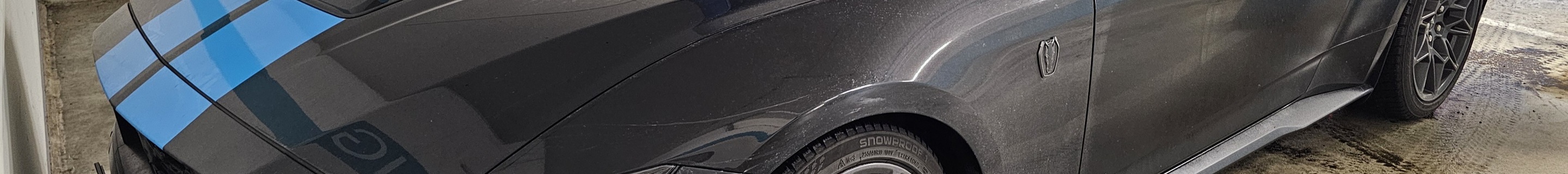 Ford Mustang Dark Horse 2024