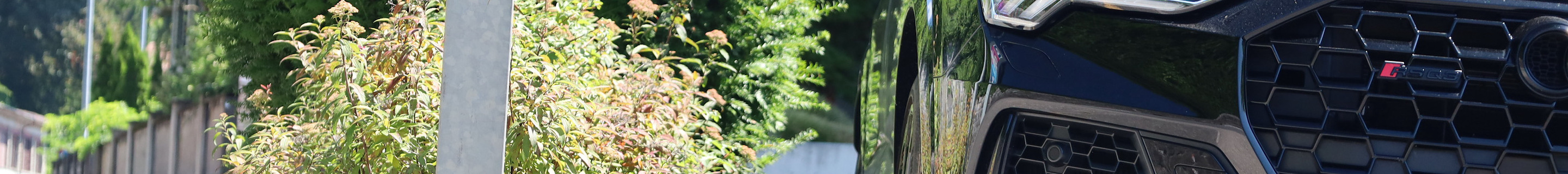 Audi RS Q3 Sportback 2020