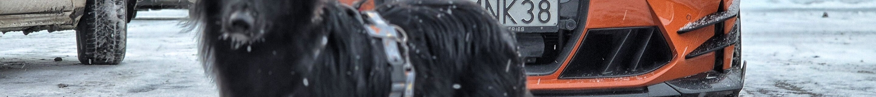 BMW M4 G82 Coupé Competition