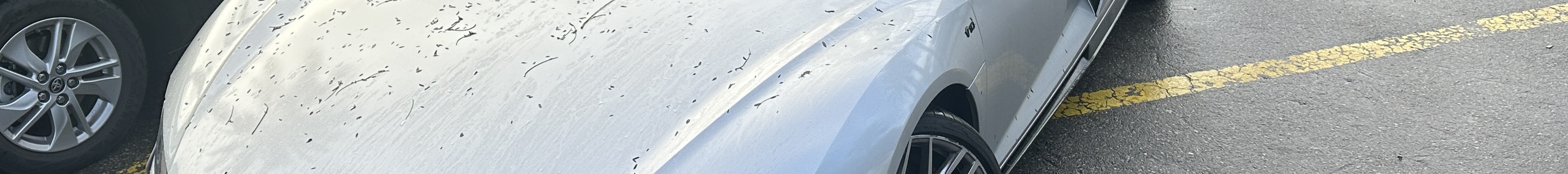 Audi R8 V10 Spyder 2019