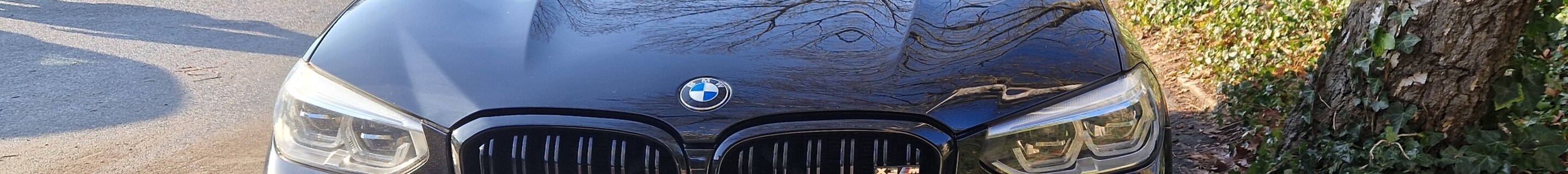 BMW X3 M F97