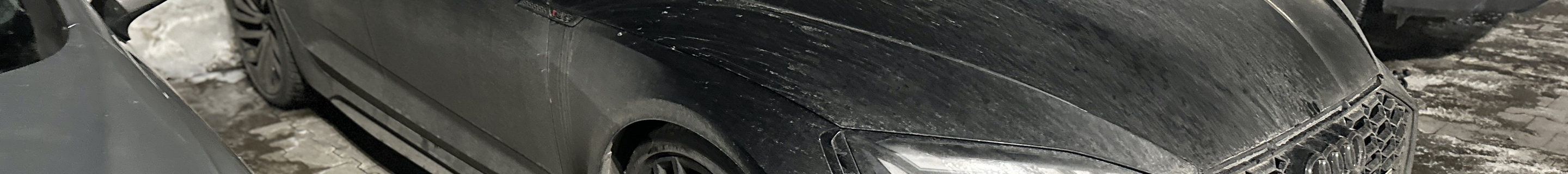 Audi RS5 Sportback B9 2021