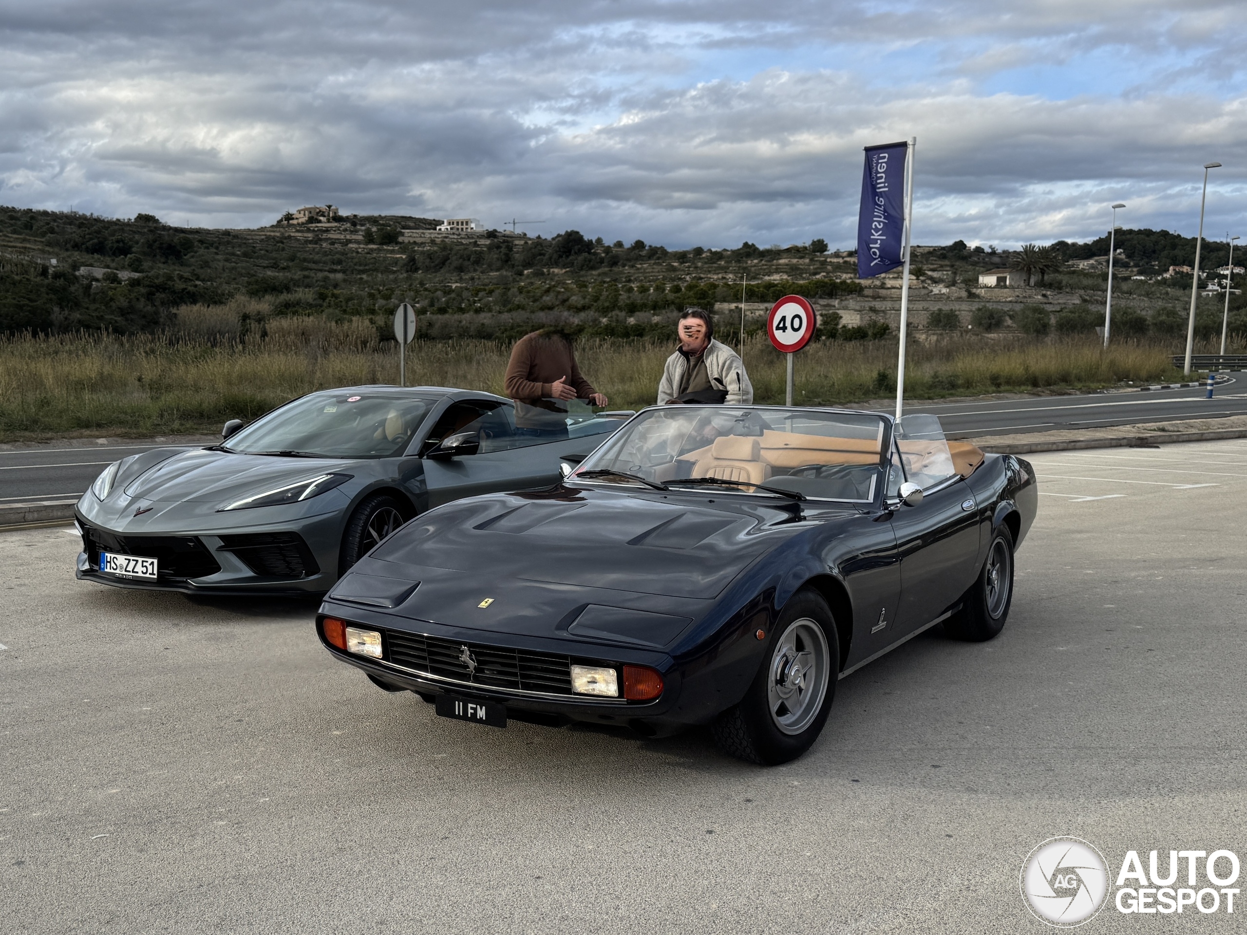 Ferrari 365 GTS/4 Bacchelli & Villa