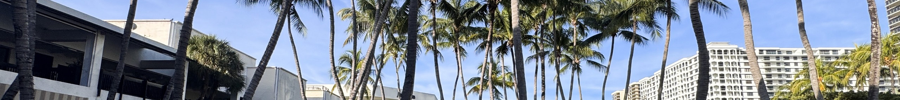 Porsche 992 GT3 RS MkI Weissach Package