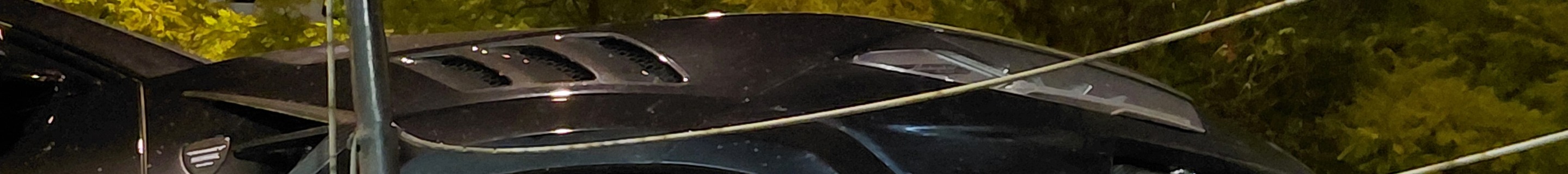 Lamborghini Urus Mansory Venatus