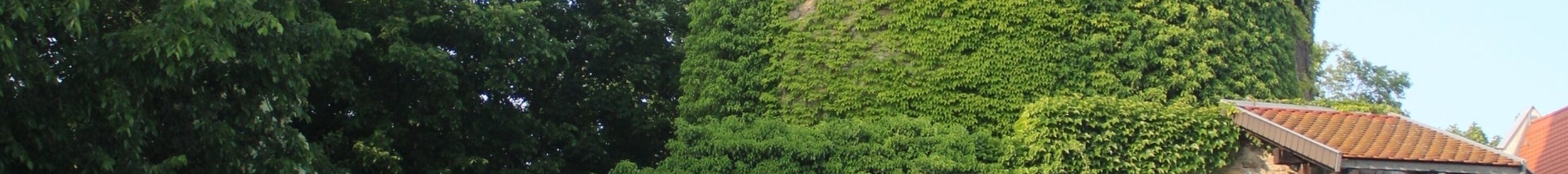 Lamborghini Huracán LP610-4