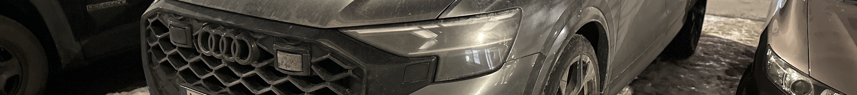 Audi RS Q8 2024
