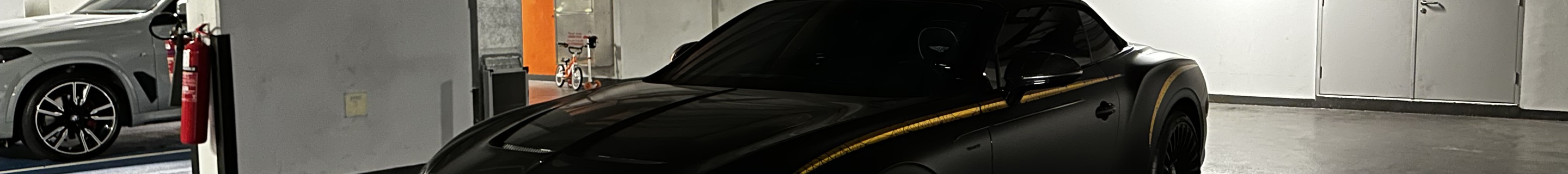 Bentley Mansory Continental GTC Speed 2021