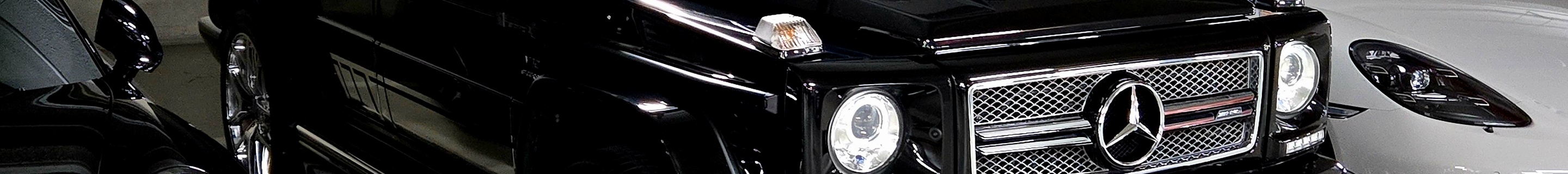 Mercedes-AMG G 65 2016 Edition 463