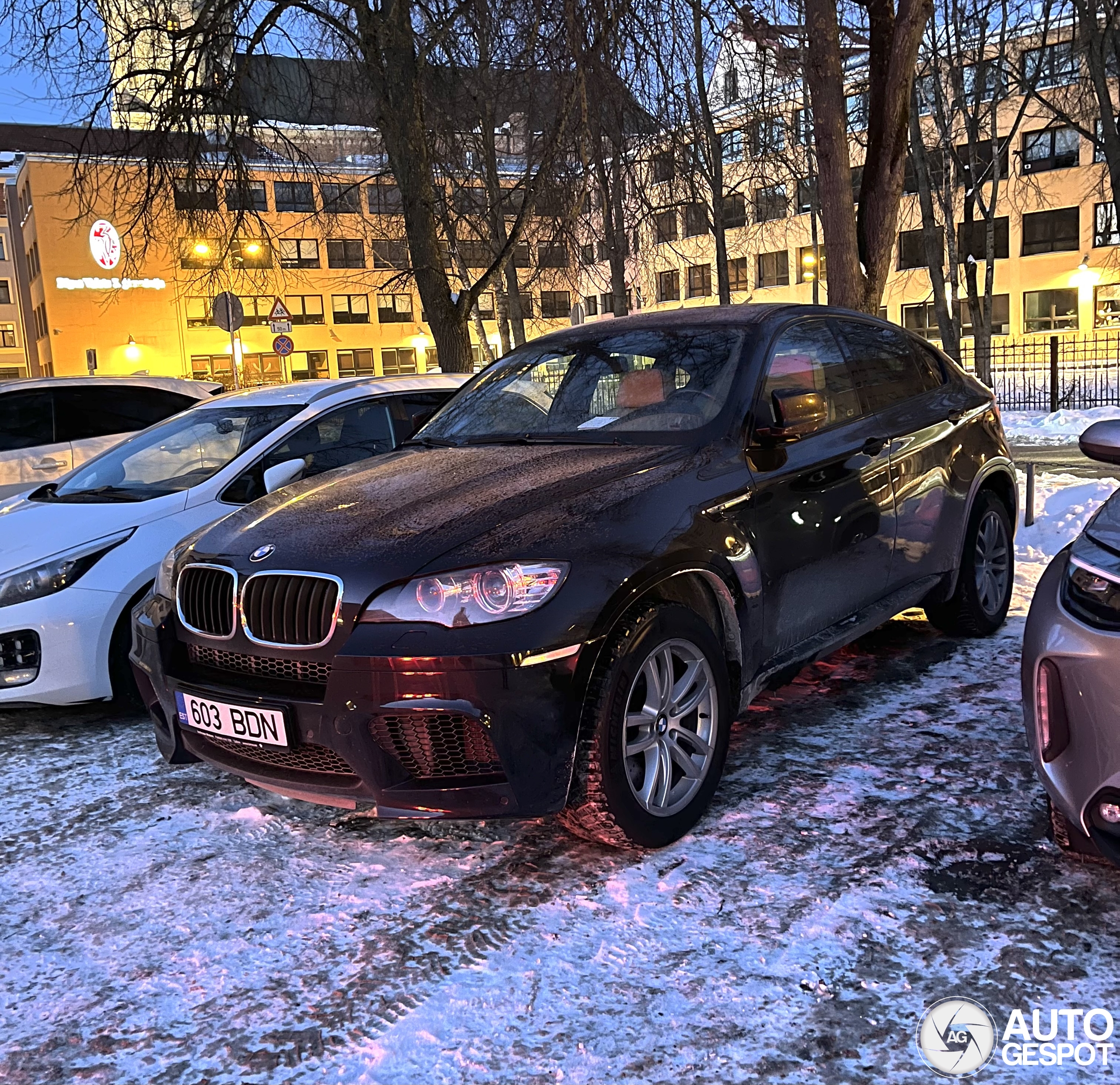 BMW X6 M E71
