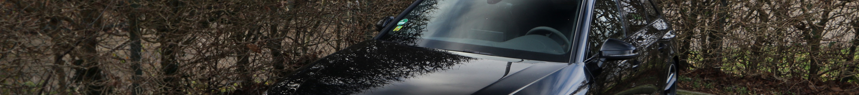 Audi RS4 Avant B9 2020