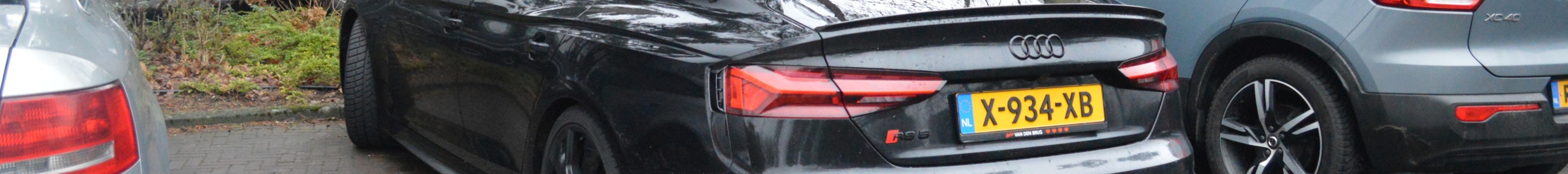 Audi RS5 Sportback B9 2021