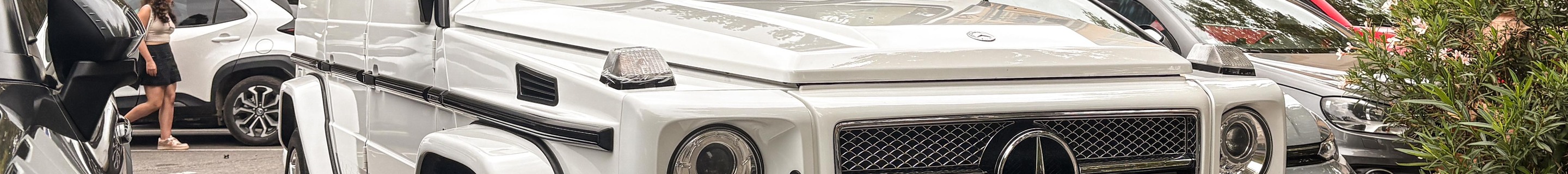 Mercedes-AMG G 65 2016 Edition 463