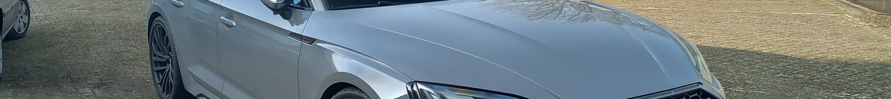 Audi RS5 Sportback B9 2021
