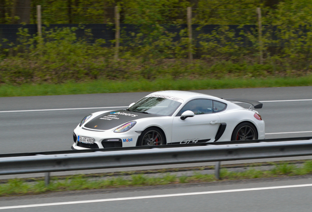 Porsche 981 Cayman GT4